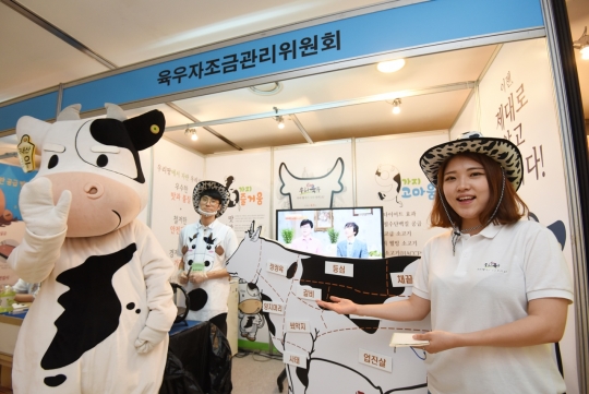 기사사진
