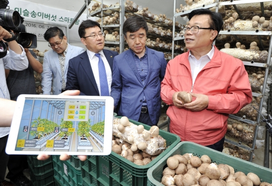 기사사진