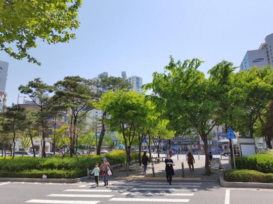 기사사진