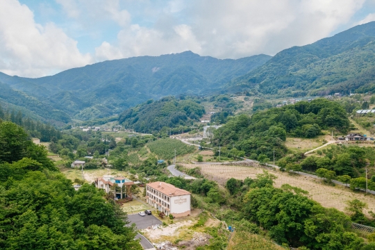 기사사진