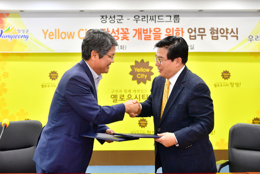 옐로우시티 이미지