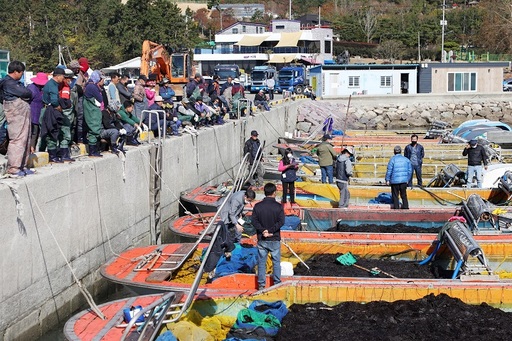 신안군수산업협동조합 이미지