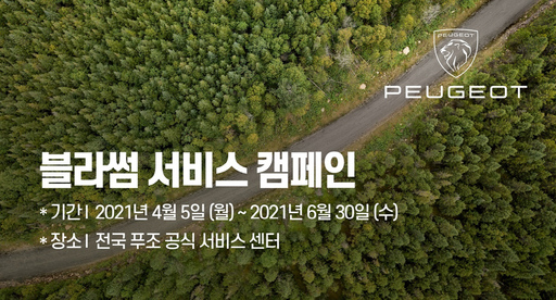 DS모터스 이미지