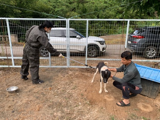 기사사진