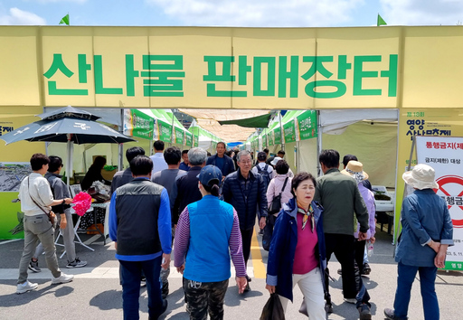 기사사진