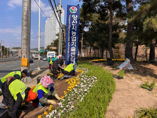 기사사진