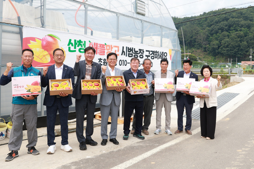 기사사진
