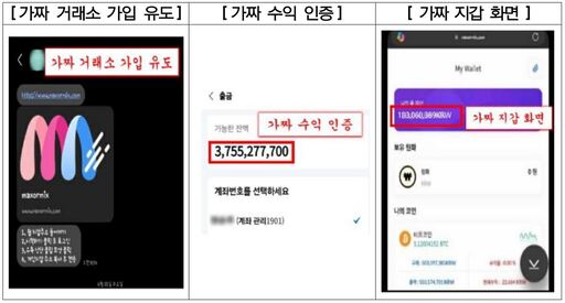 "손실 코인 대신 보상해준다고?"…가상자산 투자사기 6개월 새 59%↑