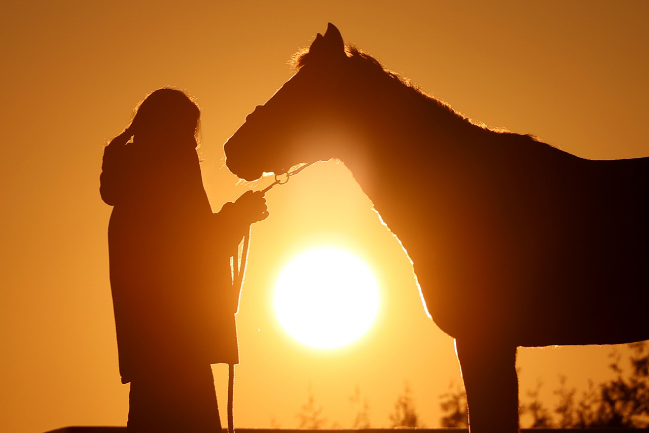[2026 신년호] 대한민국, 혼란 딛고 재도약