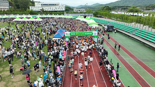 보성군, 메타세쿼이아 길을 달리는‘제21회 보성녹차마라톤대회’ 개최
