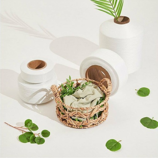 효성티앤씨, 친환경 기부 마라톤 '세이브 레이스 2026'공식 파트너 참여