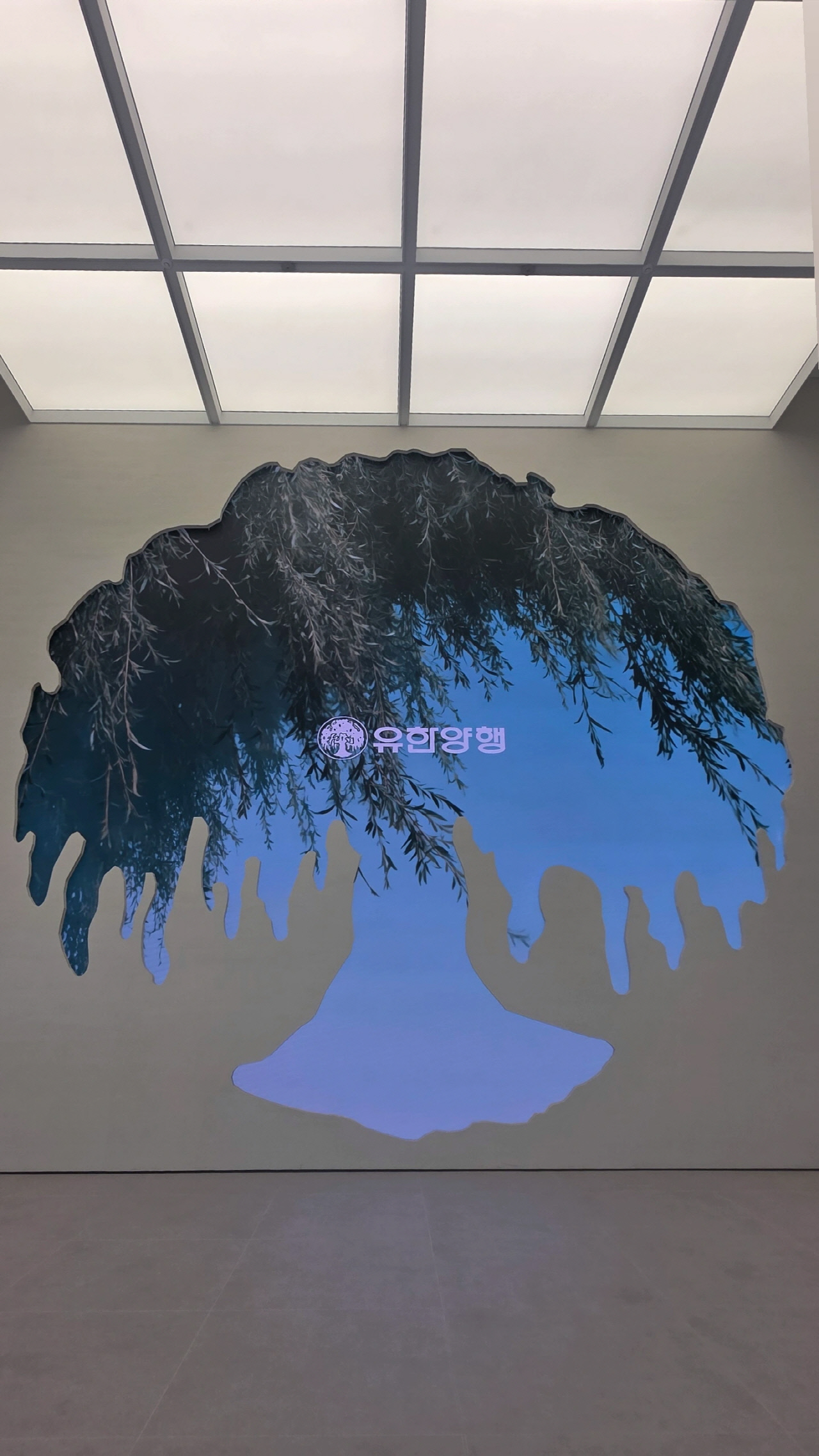 [르포] 유한양행 100주년, 버드나무에서 피어난 K제약..."세계로 뻗는 청년 기업"