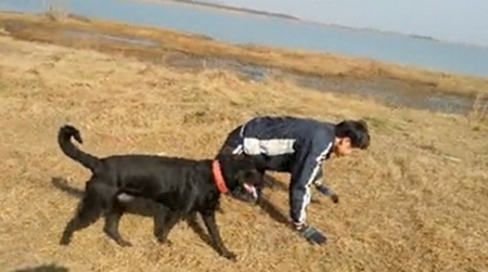 기사사진