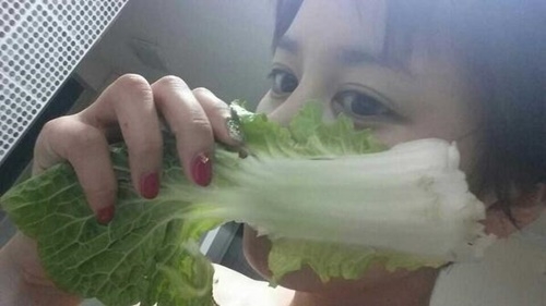 기사사진