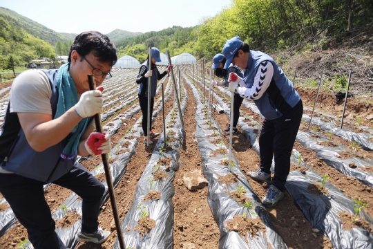 기사사진