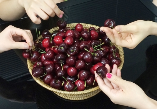 기사사진
