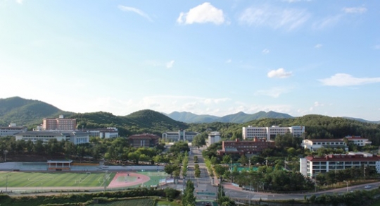 기사사진