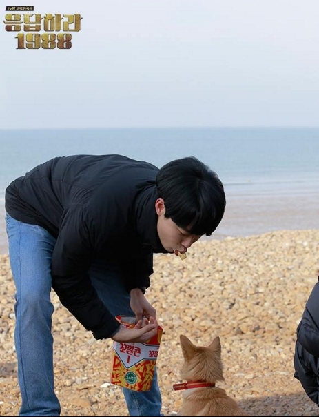 기사사진
