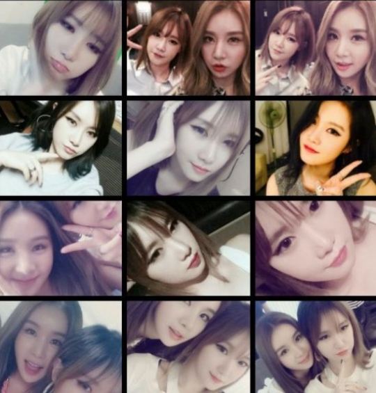 기사사진