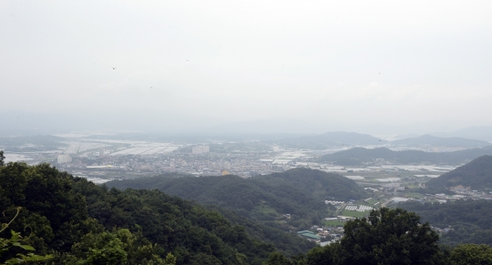 기사사진