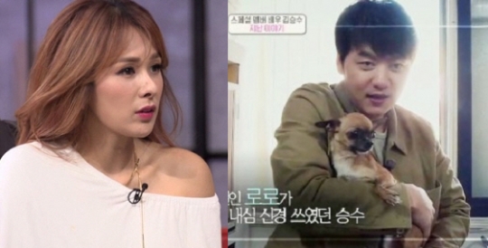 기사사진