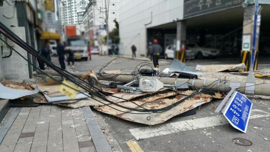 기사사진