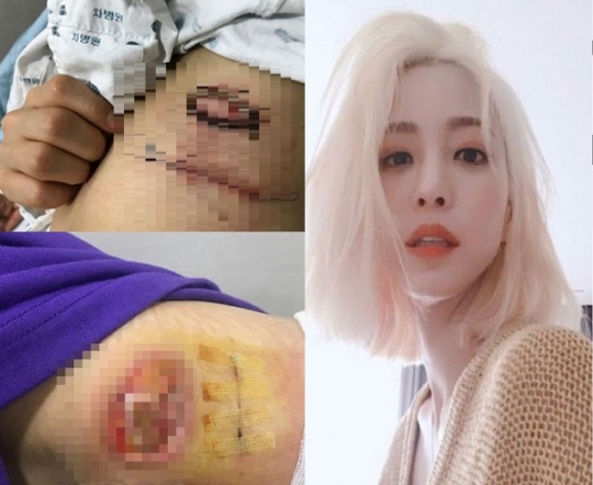 기사사진
