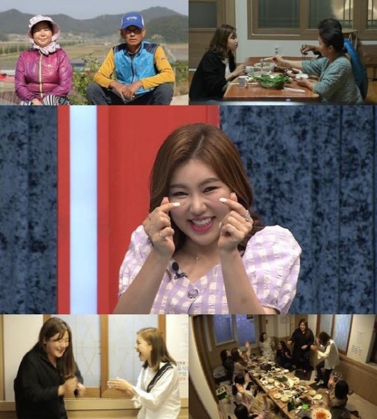 기사사진