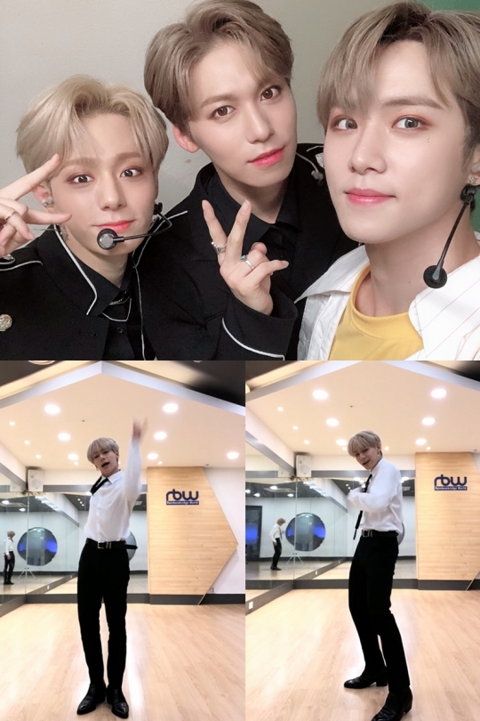 기사사진