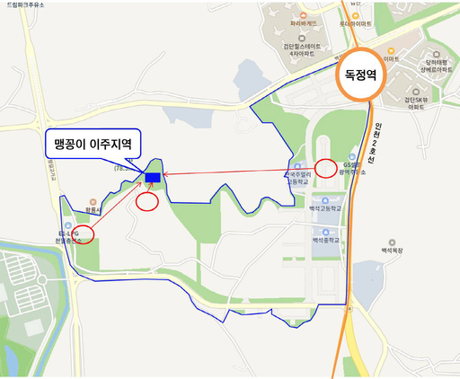 기사사진