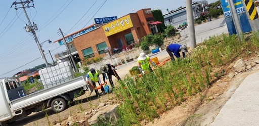 기사사진