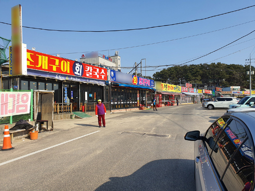 기사사진