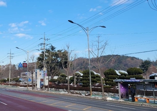 기사사진