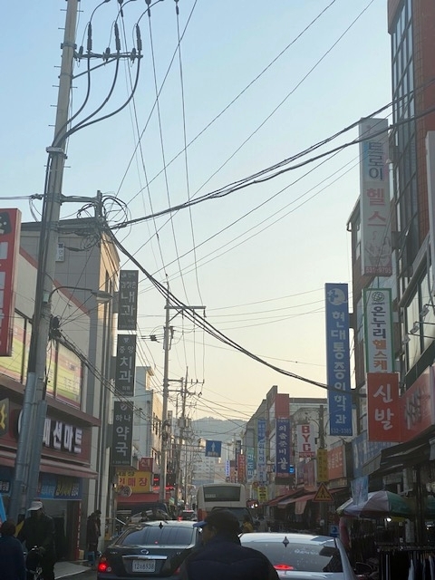 기사사진