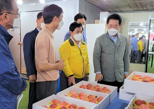 기사사진
