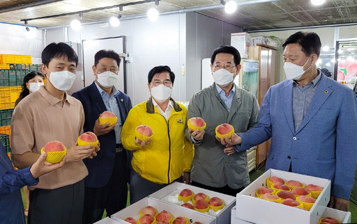 기사사진
