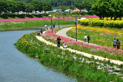 기사사진