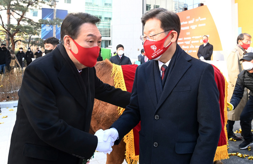 기사사진