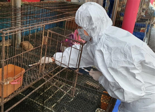 기사사진