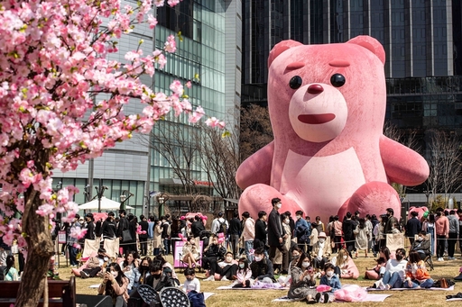 기사사진