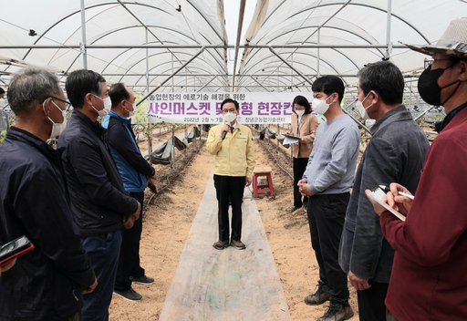 메트로컨설팅 이미지