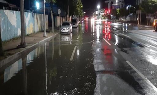 기사사진