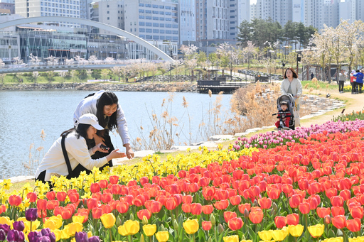 기사사진