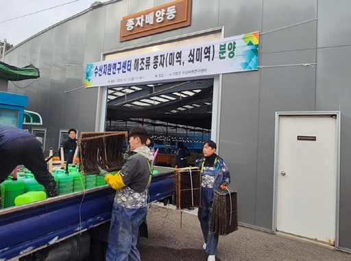 기사사진