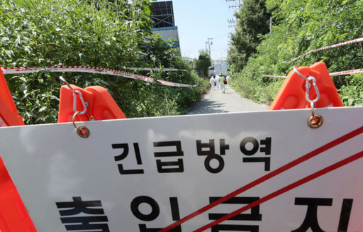 재작년 이후 재발한 소 구제역, 주말새 전남 영암 찍고 무안 확산