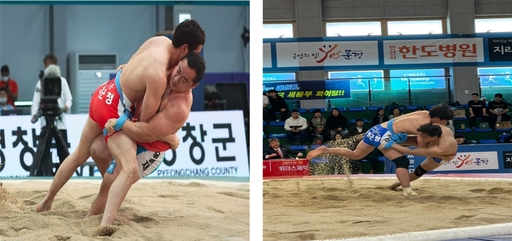 기사사진
