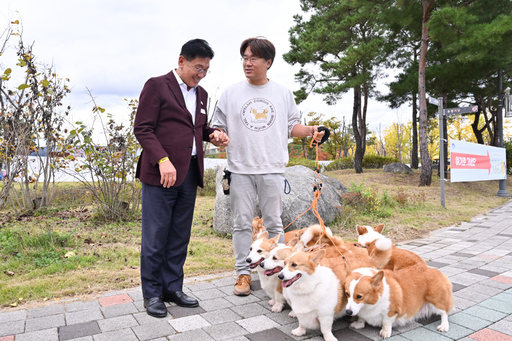 기사사진