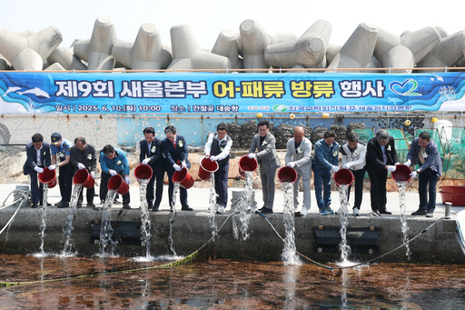 기사사진