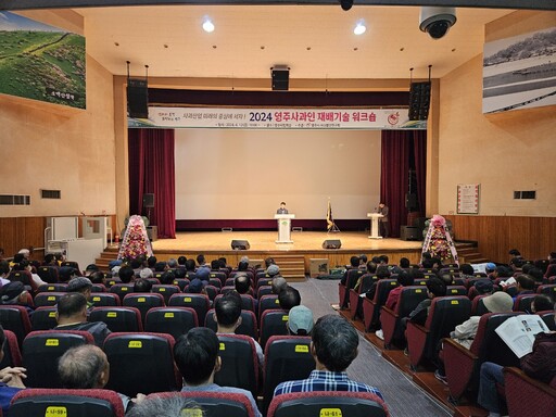 기사사진