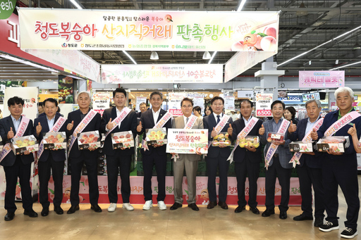 기사사진